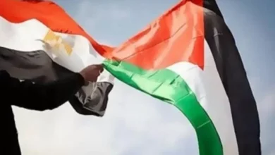 مصر-تهنئ-فلسطين-بالذكرى-الـ36-لإعلان-الاستقلال