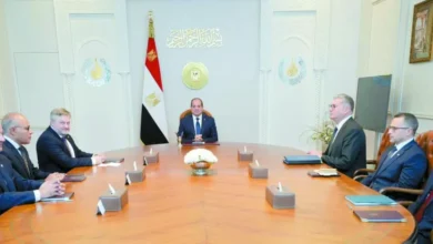 السيسى-يبحث-مع-رئيس-«بريتيش-بيتروليوم»-التعاون-فى-الطاقة-التقليدية-والمتجددة